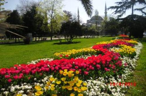 Malatya Belediyesi Park ve Bahçeler Müdürlüğü