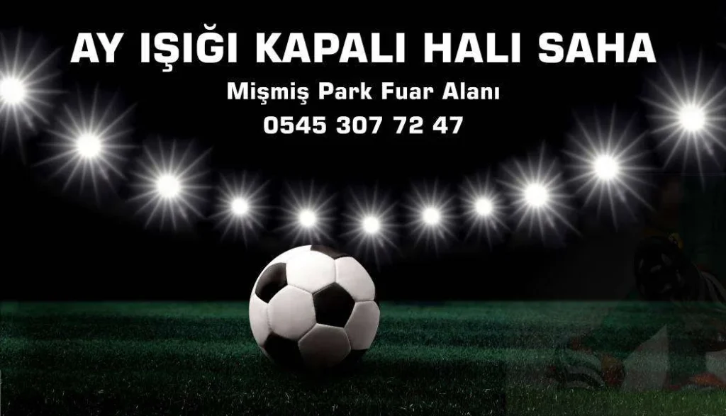 Ayışığı Kapalı Halı Saha